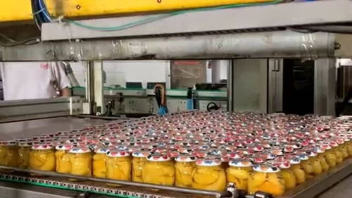 食品车间生产罐头,全部采用自动化机械生产,工人们上班轻松多了